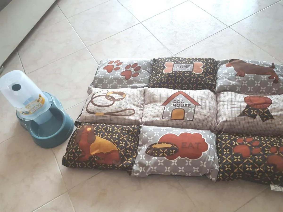 Isotta Guest House Family E Pet Friendly Perugia Apartment